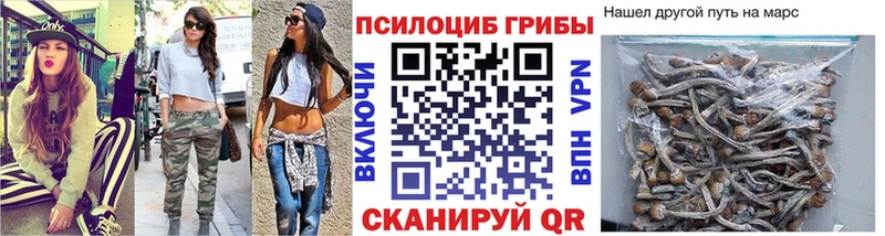 купить   mega зеркало  Псилоцибиновые грибы GOLDEN TEACHER  Сясьстрой 